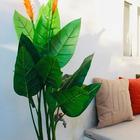 Apartment Katoi