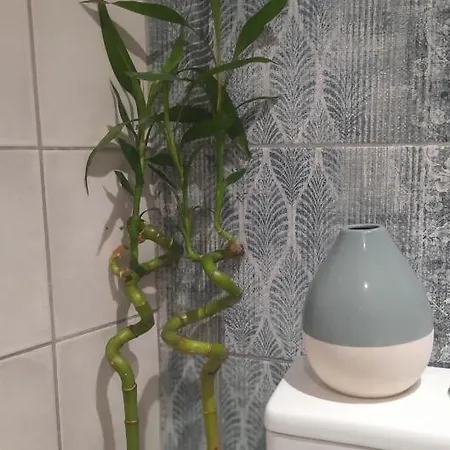 Appartement Katoi *