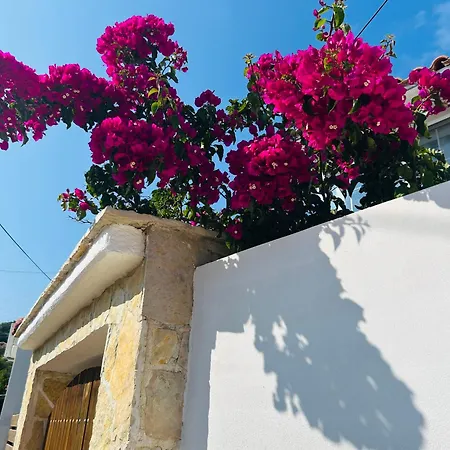 Katoi Διαμέρισμα Έξω Χώρα